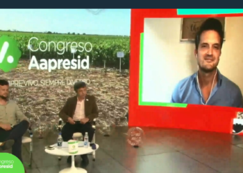 Kiss the ground: La ONG estadounidense que busca evangelizar al mundo sobre la importancia de cuidar al suelo (como se hace en la Argentina)