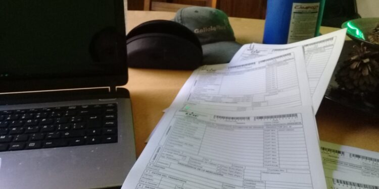 Alerta comercial: Las compañías agroindustriales advirtieron que no están en condiciones de recibir cartas de porte electrónicas a partir de la semana que viene