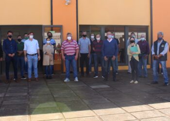 La próxima zafra del té ya tiene fecha y precio de referencia, aunque no todos quedaron conformes: Por ahora se acordó un incremento del 50%