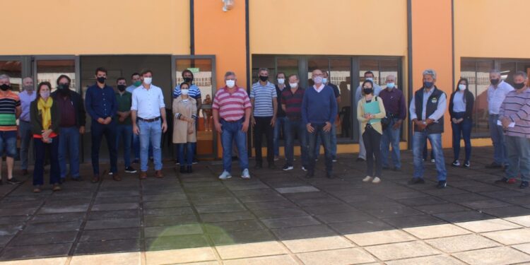 La próxima zafra del té ya tiene fecha y precio de referencia, aunque no todos quedaron conformes: Por ahora se acordó un incremento del 50%