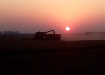 Gran acontecimiento: La soja MEP superó por primera vez los 58.000 $/tonelada