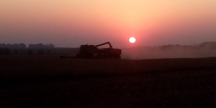 Gran acontecimiento: La soja MEP superó por primera vez los 58.000 $/tonelada