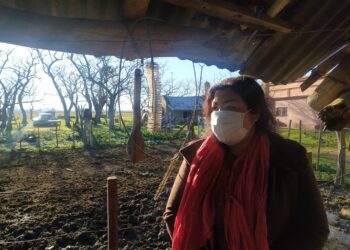 Elena Trucco quedó viuda y comenzó a ordeñar una vaca para ahorrar la leche de sus hijos: Ya cumplió un año al frente de un pequeño tambo que les asegura subsistencia y dignidad