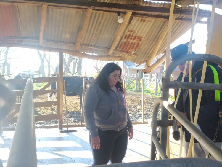 Elena Trucco quedó viuda y comenzó a ordeñar una vaca para ahorrar la leche de sus hijos: Ya cumplió un año al frente de un pequeño tambo que les asegura subsistencia y dignidad