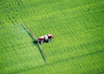 EE.UU. prohíbe el uso de clorpirifós “para proteger mejor la salud de los niños y los trabajadores agrícolas”