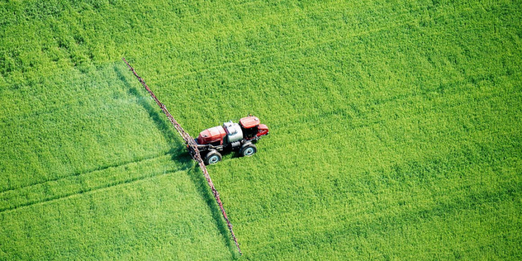 EE.UU. prohíbe el uso de clorpirifós “para proteger mejor la salud de los niños y los trabajadores agrícolas”