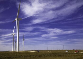El campo también es energía: el domingo por la tarde casi un 25% de la electricidad generada en la Argentina provino de fuentes renovables