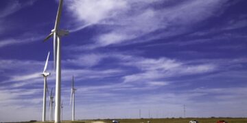 El campo también es energía: el domingo por la tarde casi un 25% de la electricidad generada en la Argentina provino de fuentes renovables