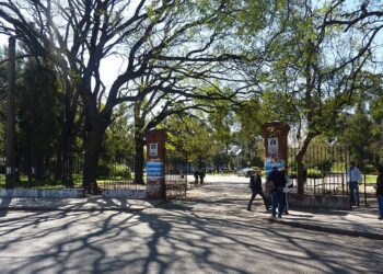¿Feliz día? Cada vez menos jóvenes tienen interés en estudiar agronomía
