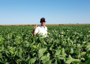 Ecosistema Siembras Compartidas: Cómo funciona el sistema creado por Berardo Agropecuaria