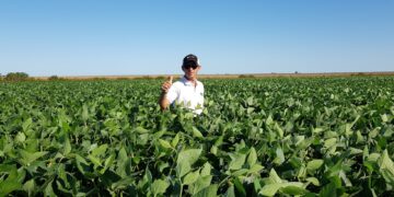 Ecosistema Siembras Compartidas: Cómo funciona el sistema creado por Berardo Agropecuaria