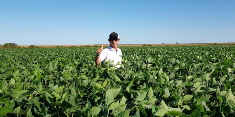 Ecosistema Siembras Compartidas: Cómo funciona el sistema creado por Berardo Agropecuaria