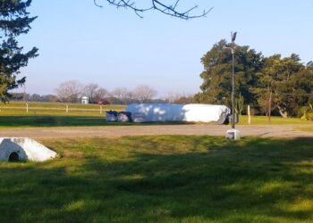 De silopapa a silobatata: En el INTA San Pedro ensayan nuevas formas de conservar las batatas para extender su vida útil y evitar la caída en los precios