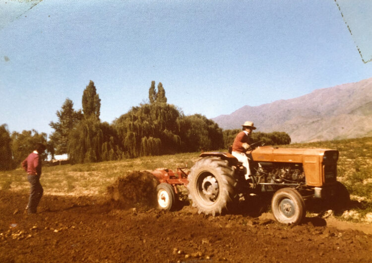Una historia de “ututos”: Cómo fue que la familia Paz se puso a producir snacks de papa frita en Tafi del Valle, sobre las sierras del Aconquija