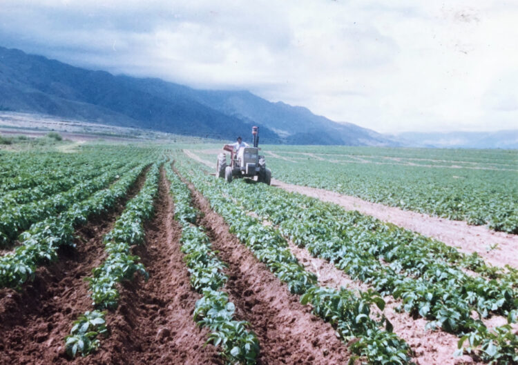 Una historia de “ututos”: Cómo fue que la familia Paz se puso a producir snacks de papa frita en Tafi del Valle, sobre las sierras del Aconquija