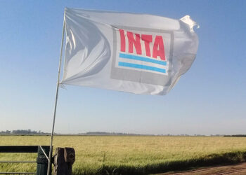 Un poco de historia ¿Quién determinó que los productores deben formar parte del órgano de gobierno del INTA?