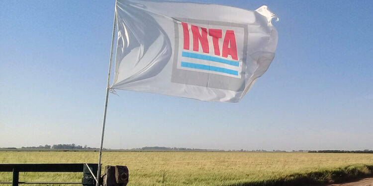 Un poco de historia ¿Quién determinó que los productores deben formar parte del órgano de gobierno del INTA?
