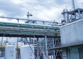 Por el bajo tenor proteico de la soja argentina se pierden unos 575 millones de dólares