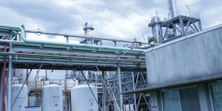 Por el bajo tenor proteico de la soja argentina se pierden unos 575 millones de dólares