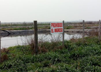 Buenos Aires: vence el plazo para que los grandes tambos bonaerenses se inscriban en el régimen que permite hacer un uso agronómico de purines