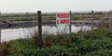 Buenos Aires: vence el plazo para que los grandes tambos bonaerenses se inscriban en el régimen que permite hacer un uso agronómico de purines