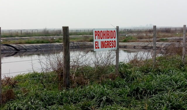 Buenos Aires: vence el plazo para que los grandes tambos bonaerenses se inscriban en el régimen que permite hacer un uso agronómico de purines