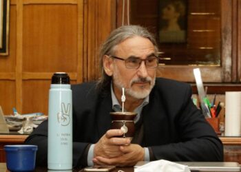 El ministro Basterra salió a bancar la decisión de poner límites a las nuevas plantaciones de yerba mate: ¿Y en los otros cultivos?