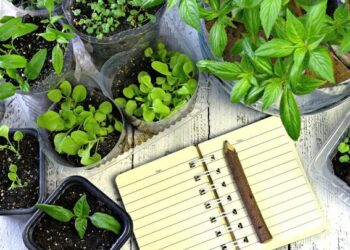 Por fin se sabe con certeza: el 50% de las empresas agrícolas argentinas no tiene una sola “maceta” de tierra