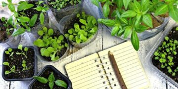 Por fin se sabe con certeza: el 50% de las empresas agrícolas argentinas no tiene una sola “maceta” de tierra