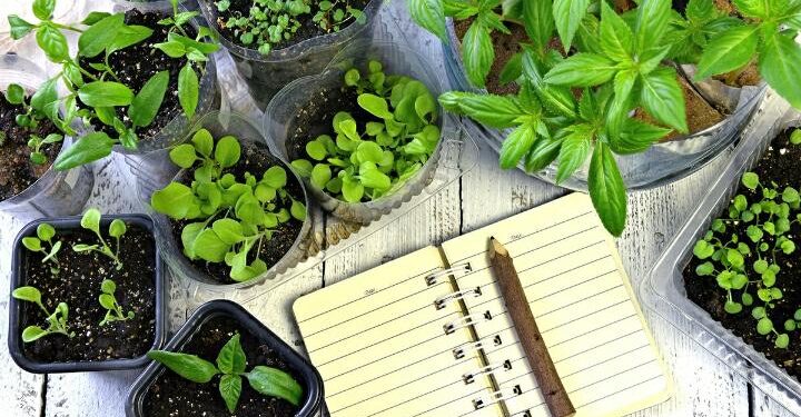 Por fin se sabe con certeza: el 50% de las empresas agrícolas argentinas no tiene una sola “maceta” de tierra