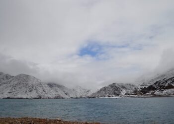 Mendoza se queda sin agua y los políticos siguen pensando en las elecciones: Reclaman un plan de emergencia urgente