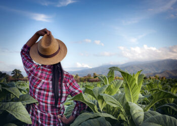 La mujer en el centro del debate IDEA: Si no se promociona una cultura inclusiva será difícil acceder a puestos de decisión