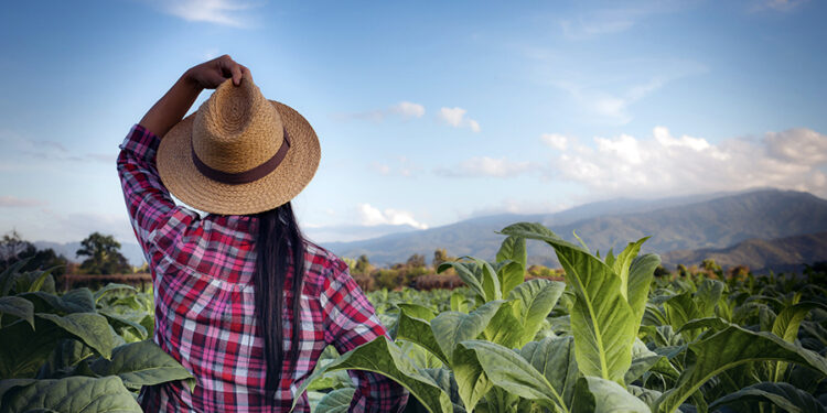 La mujer en el centro del debate IDEA: Si no se promociona una cultura inclusiva será difícil acceder a puestos de decisión