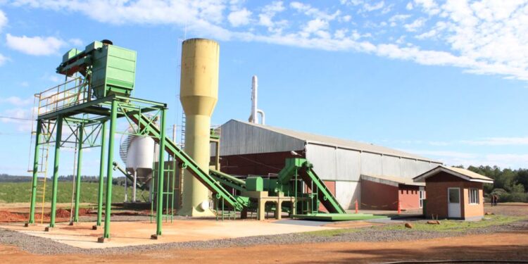 Hay ruido de motores en Misiones: Una nueva planta de Puerto Esperanza empezará a producir la fécula de mandioca