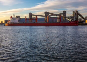 No digas que no te avisamos: El maíz Bahía Blanca está libre de retenciones