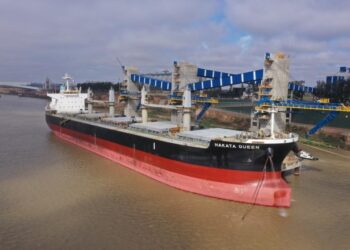 La Afip implementó mejoras en el sistema de registración de Declaraciones Juradas de Ventas Externas de productos agroindustriales