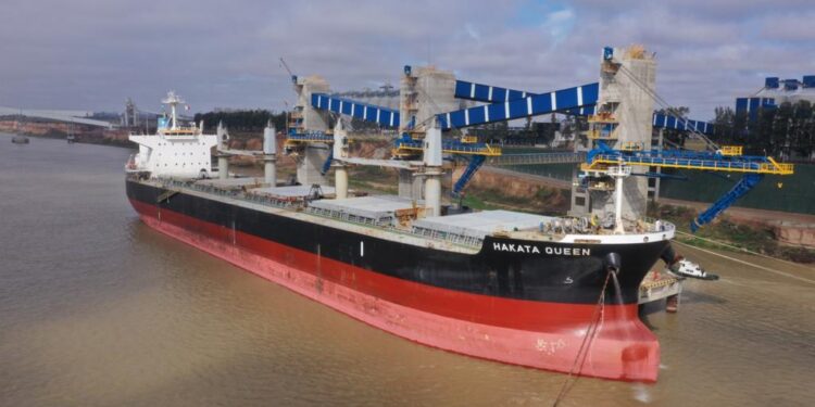 La Afip implementó mejoras en el sistema de registración de Declaraciones Juradas de Ventas Externas de productos agroindustriales