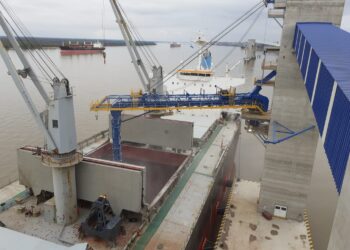 ACA lidera la exportación argentina de poroto de soja en lo que va de la presente campaña comercial