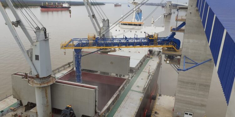 ACA lidera la exportación argentina de poroto de soja en lo que va de la presente campaña comercial