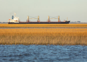 Menos mal que sobran divisas: El bloqueo transportista tuvo un costo superior a 56 millones de dólares