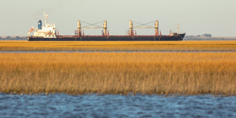 Menos mal que sobran divisas: El bloqueo transportista tuvo un costo superior a 56 millones de dólares