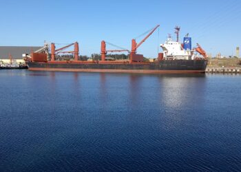 Inédito: Un 30% del maíz tardío argentino se está embarcando en los puertos del sur bonaerense