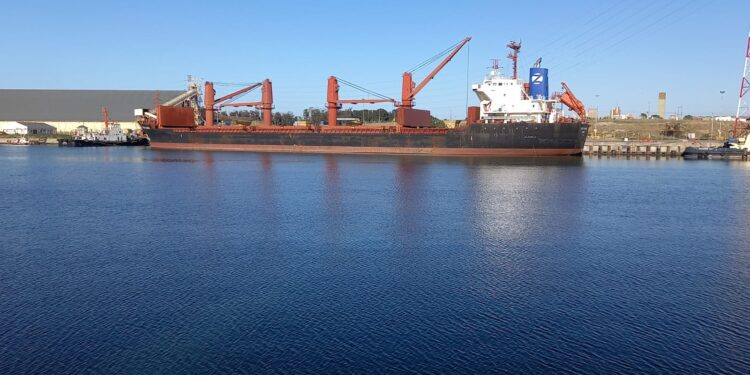 Inédito: Un 30% del maíz tardío argentino se está embarcando en los puertos del sur bonaerense
