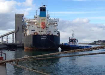 Estado ausente: Sigue el bloqueo de transportistas autoconvocados en las terminales portuarias de Bahía Blanca y Quequén
