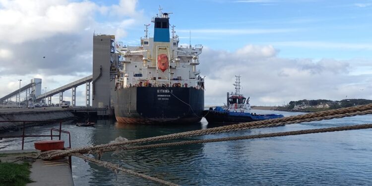 Estado ausente: Sigue el bloqueo de transportistas autoconvocados en las terminales portuarias de Bahía Blanca y Quequén