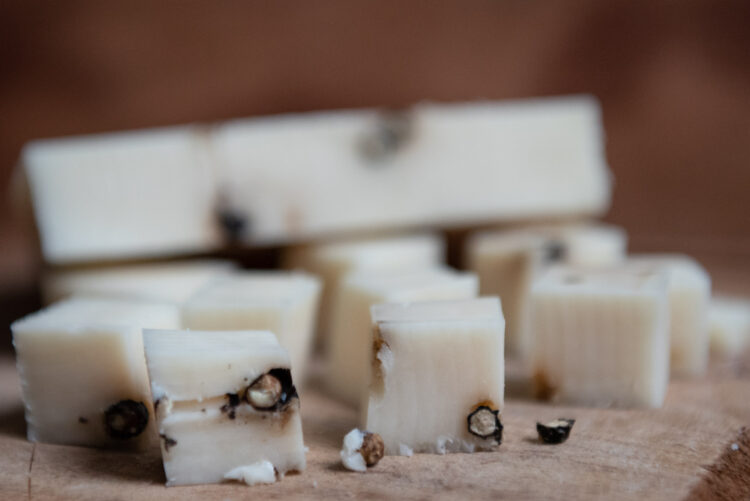 La familia Espain produce quesos de cabra en Treinta de Agosto: Tienen 800 caprinos de la raza Saanen y han inventado hasta un queso azul con esa particular leche