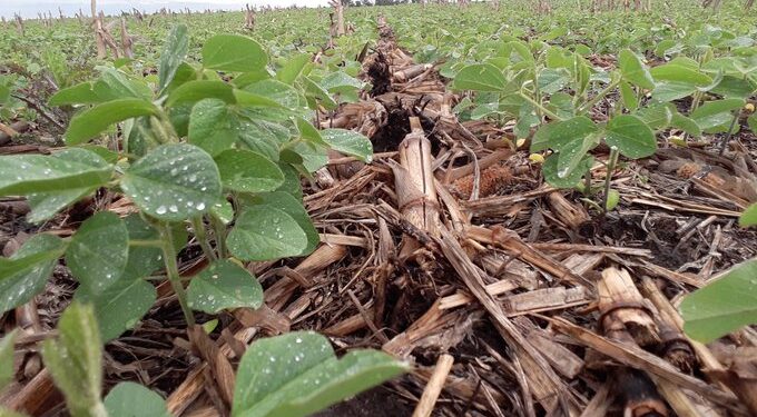 Empleados del año de la AFIP: En el primer semestre la recaudación generada por las retenciones sojeras se multiplicó por tres