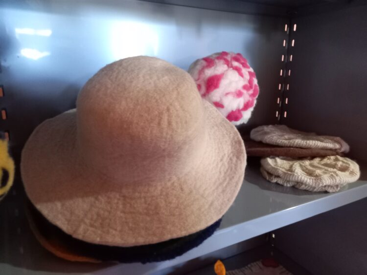 La breve pero rica historia de la cooperativa Las Laneras de Misiones: Comenzaron usando lana que antes se quemaba y acaban de obtener su matrícula