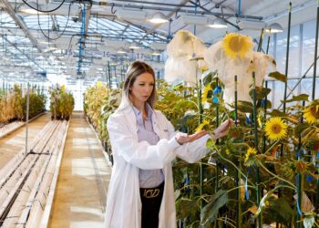 Agroempresas: Syngenta cerró su primer trimestre con récord de facturación de 14.400 millones de dólares