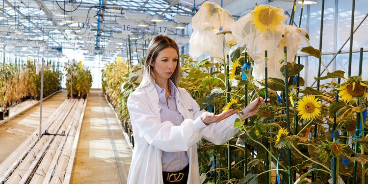 Agroempresas: Syngenta cerró su primer trimestre con récord de facturación de 14.400 millones de dólares